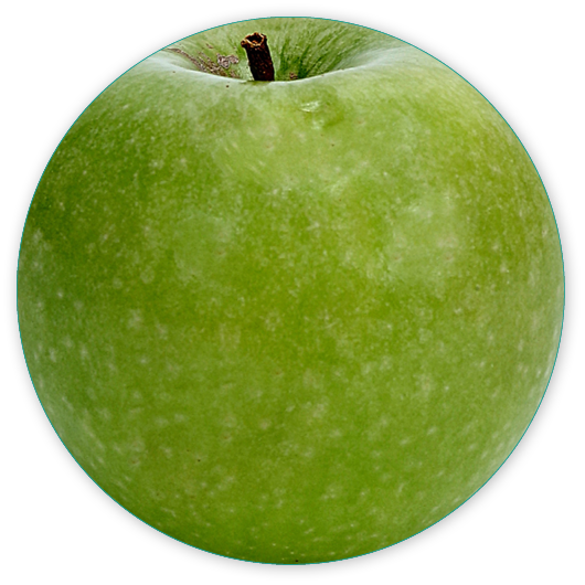 Oval